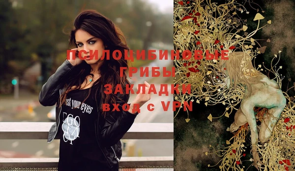 крисы Заводоуковск