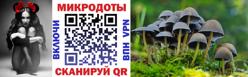 Галлюциногенные грибы мицелий  Купить закладки  Донецк 
